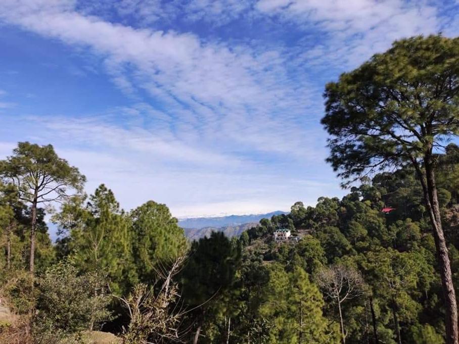 The Asgard Kasauli Bed and Breakfast Exterior foto